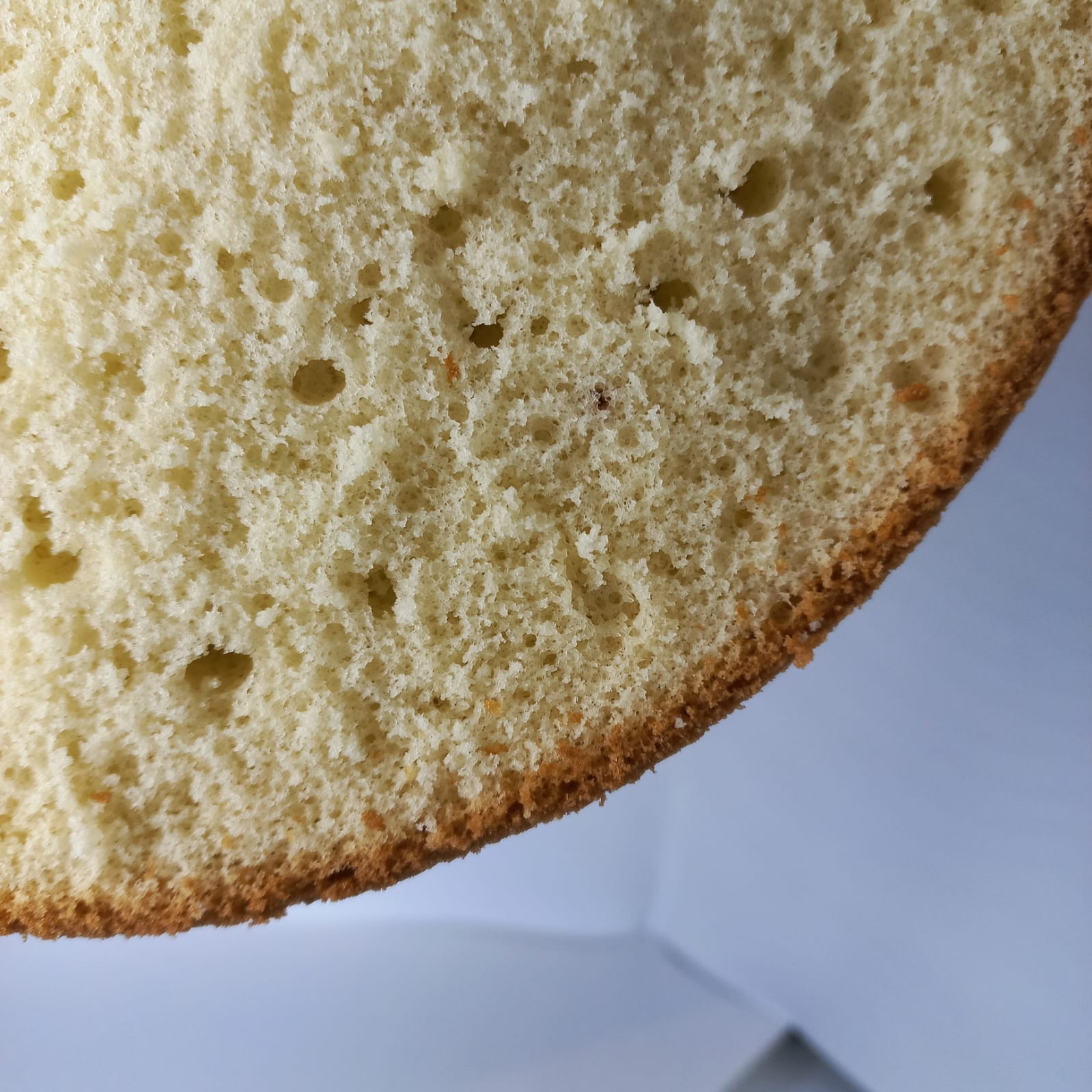 bizcochuelo-de-vainilla-1